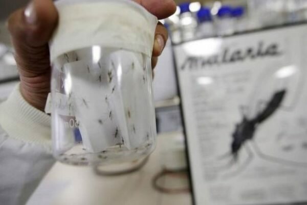 La malaria sigue extendiéndose silenciosamente en el Alto Caura