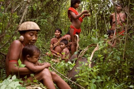 Comunidades yanomami de Mavaquita sin respuestas ante brote de extraña enfermedad que le quitó la vida a 5 niños