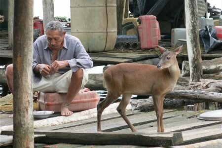 Siguen muriendo waraos por diarrea en comunidades del Delta