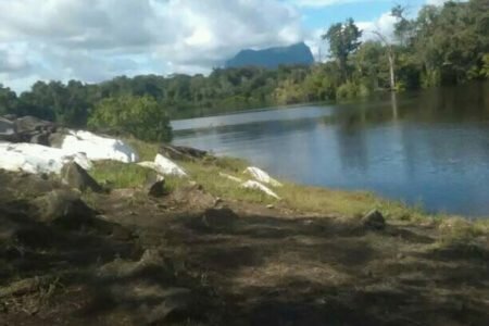 Al menos 2 mil mineros ilegales operan en el Parque Nacional Yacapana