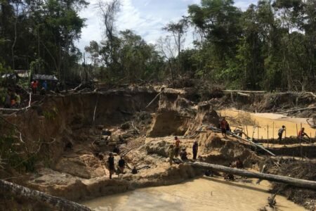 “Los indígenas son víctimas de otro 12 de octubre con la llegada a sus tierras de los mineros y los grupos armados”