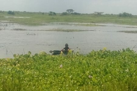 Humedales del Delta Amacuro amenazados por explotación del agro y la minería